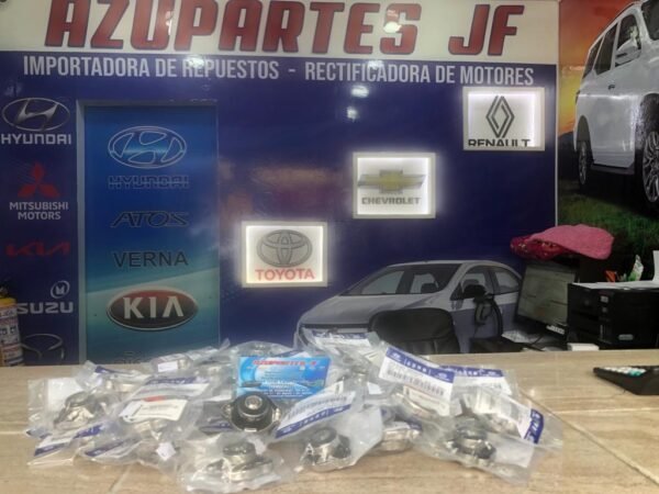 Tapa Radiador - Imagen 2